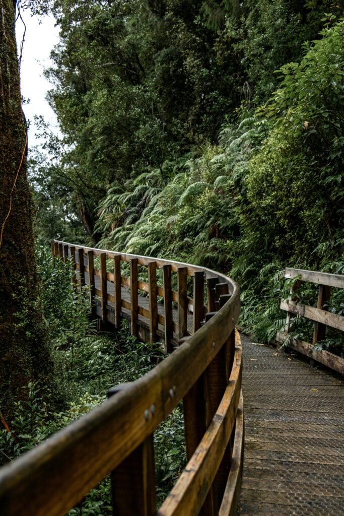 sobre nos riqueza mental floresta